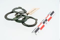 Foto von Bronzering (NHMW-PRAE-025480)